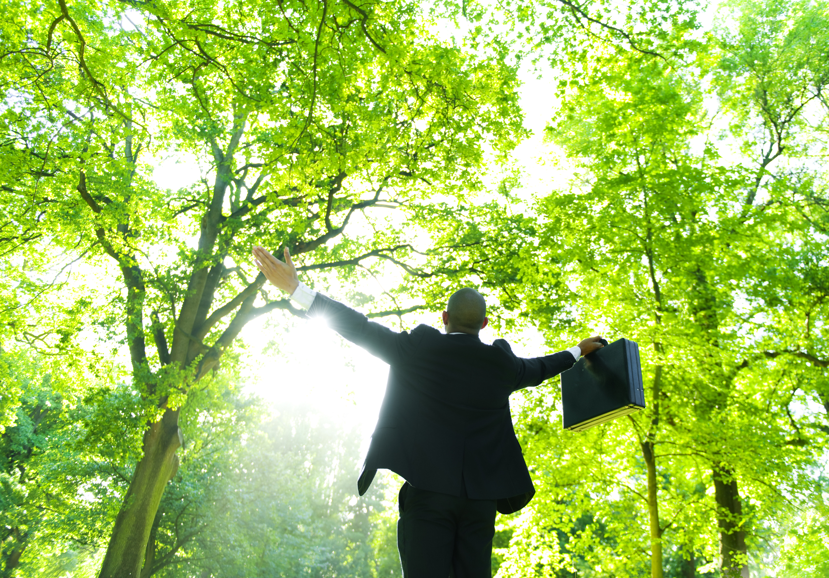 A zakenman die in het bos staat